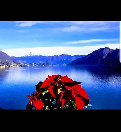 Fantastic Lake View Appartamento *